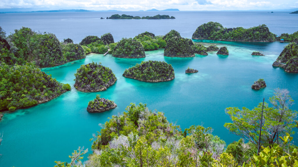 Painemo Island, Blue Lagoon, Raja Ampat, West Papua, Indonesia